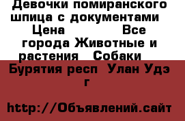 Девочки помиранского шпица с документами › Цена ­ 23 000 - Все города Животные и растения » Собаки   . Бурятия респ.,Улан-Удэ г.